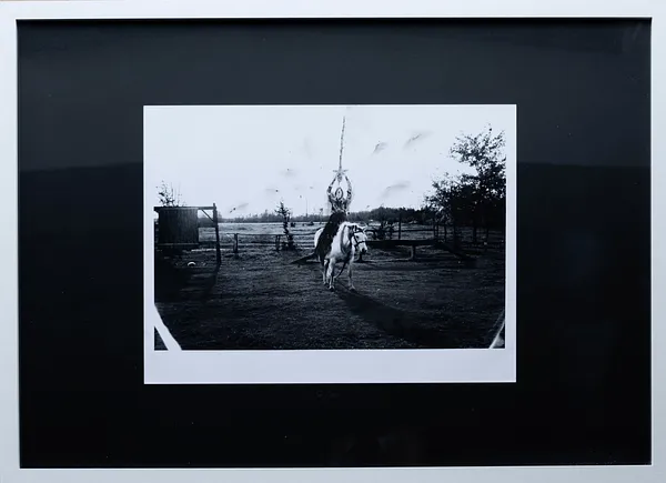 Image of The mother defender on horseback by Sashko Seliuk, size: 30х40, made of analog photo with graphic decoration, analog photography medium, from Lutsk, part of the Nature and Urban series Photo 3 of 3.