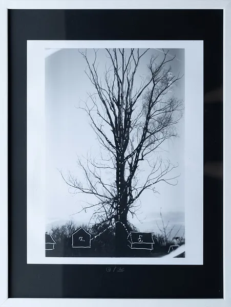 Image of The hermit by Sashko Seliuk, size: 24х30, made of analog photo with graphic decoration, analog photography medium, from Lutsk, part of the Nature and Urban series, priced at $120 Photo 3 of 3.