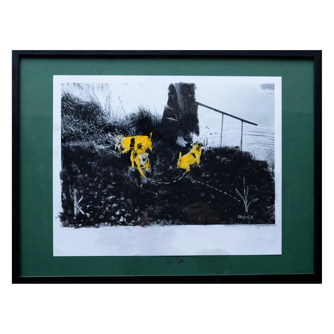 Image of Dogs by Sashko Seliuk, size: 24x30, made of analog photo with graphic decoration, analog photography medium, from Lutsk, part of the Nature and Urban series