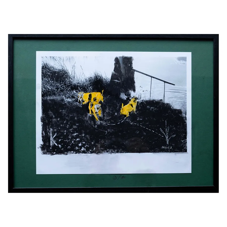 Image of Dogs by Sashko Seliuk, size: 24x30, made of analog photo with graphic decoration, analog photography medium, from Lutsk, part of the Nature and Urban series Photo 1 of 3.