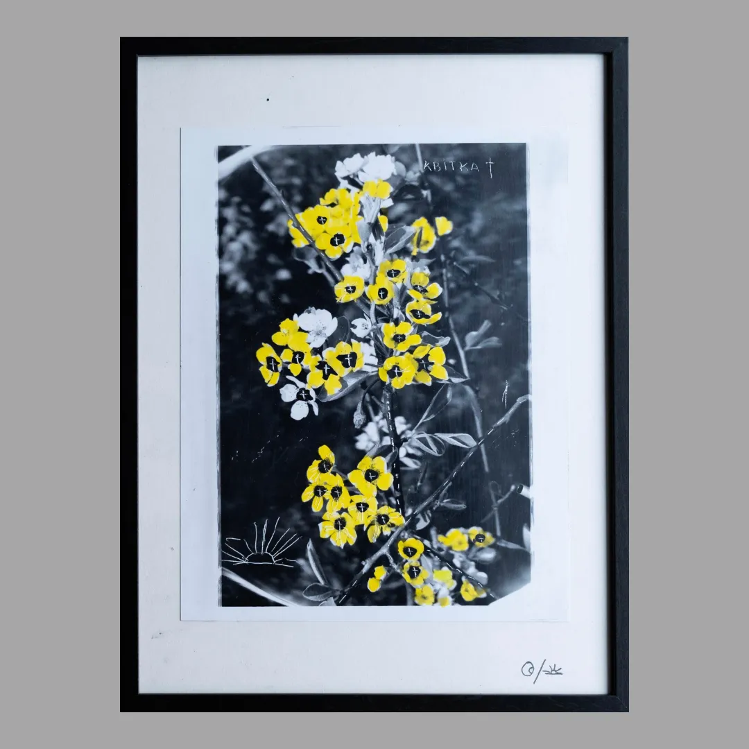 Image of Flowered by Sashko Seliuk, size: 24х30, made of analog photo with graphic decoration, analog photography medium, from Lutsk, part of the Nature and Urban series, priced at $120