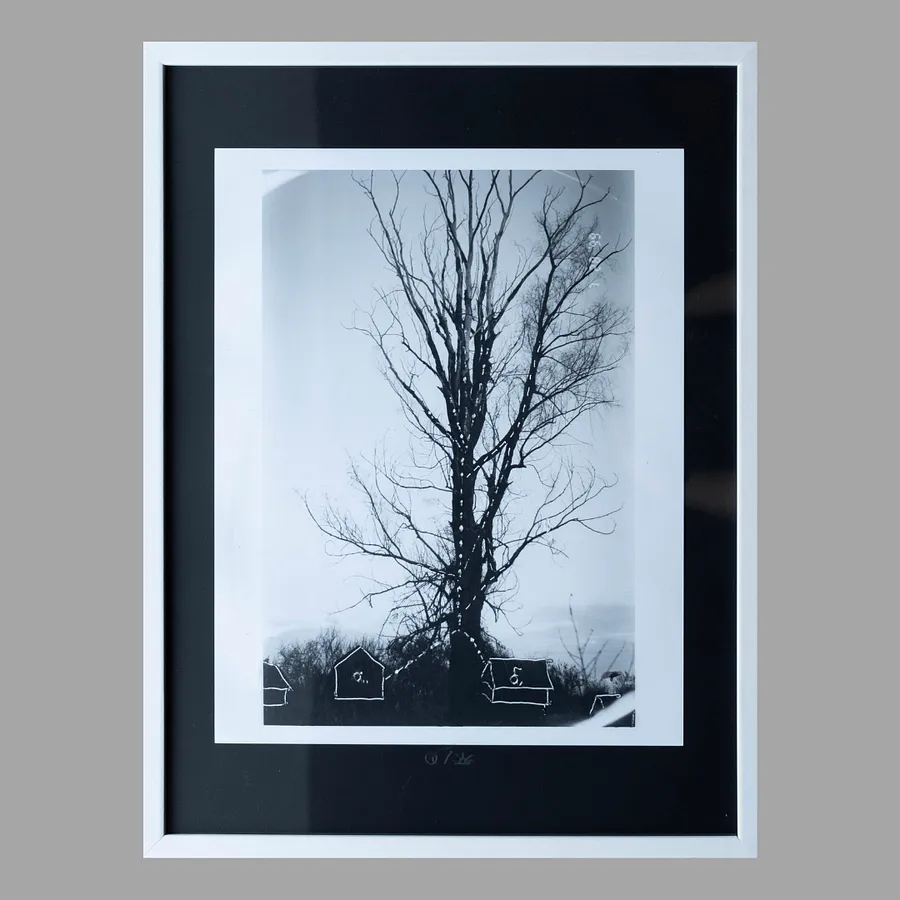 Image of The hermit by Sashko Seliuk, size: 24х30, made of analog photo with graphic decoration, analog photography medium, from Lutsk, part of the Nature and Urban series, priced at $120