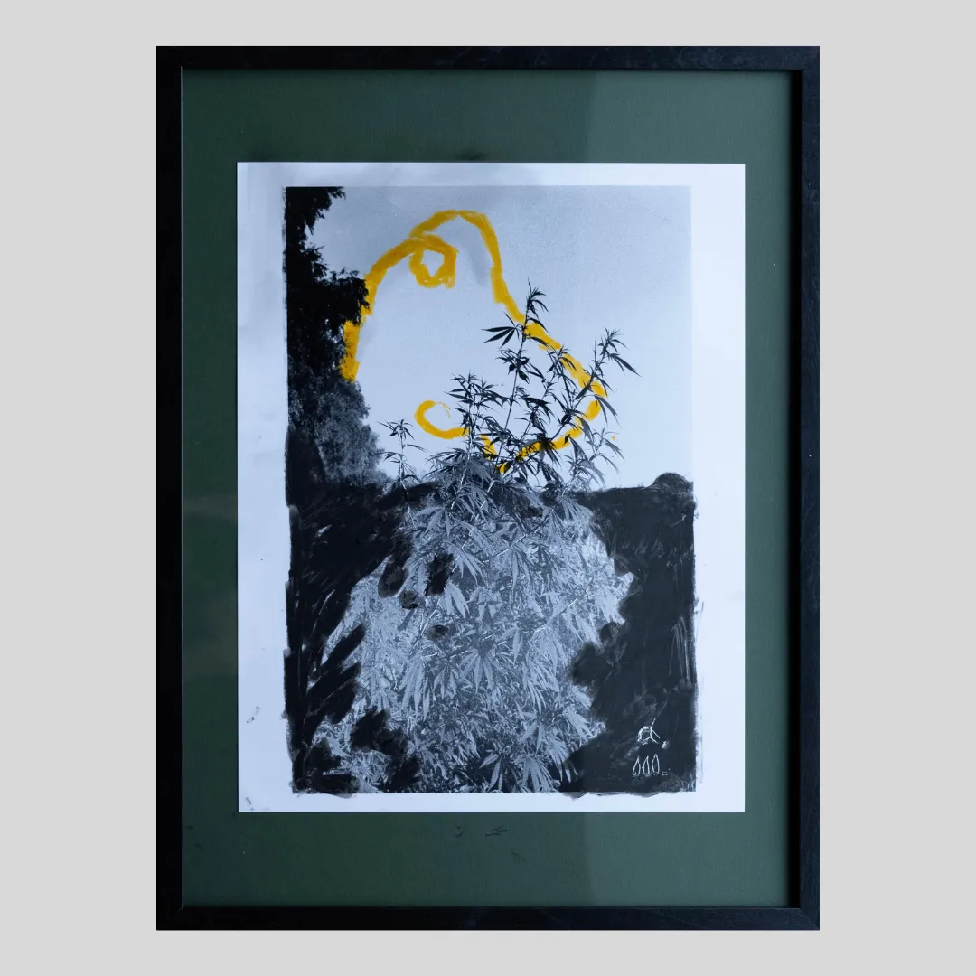 Image of Hemp by Sashko Seliuk, size: 24х30, made of analog photo with graphic decoration, analog photography medium, from Lutsk, part of the Nature and Urban series, priced at $120